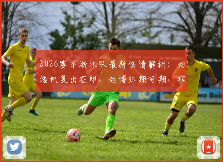 2026赛季浙江队最新伤情解析：刘浩帆复出在即，赵博归期可期，程进出战仍存疑