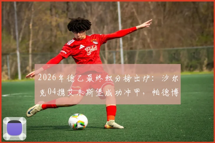 2026年德乙最终积分榜出炉:沙尔克04携艾禾斯堡成功冲甲,帕德博恩获升级附加赛资格,附完整赛程与形势解读